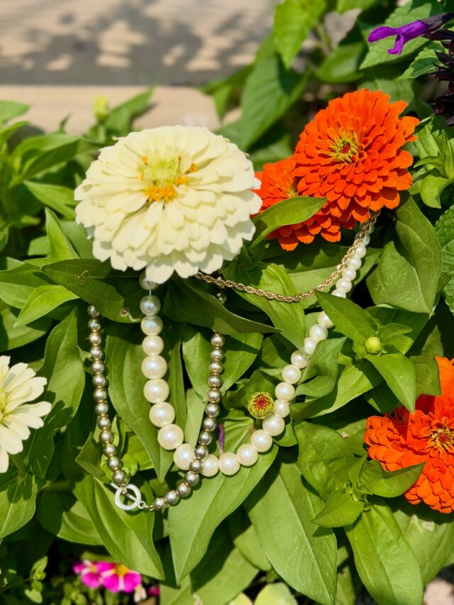 Summer outfits deserve a little sparkle. 

Whether you’re pairing a vintage necklace with your favorite band tee or looking for a chunky statement piece that works from the office to dinner with friends, find something that makes you smile. 

We’ve added even more jewelry to our selection because everyone deserves to wear something that makes them feel confident without spending a fortune.

Browse a little. Sparkle a lot.

#shopsecondhandfirst #secondhandjewelry #pittsburghthrift #thriftedjewelry #sharpsburg