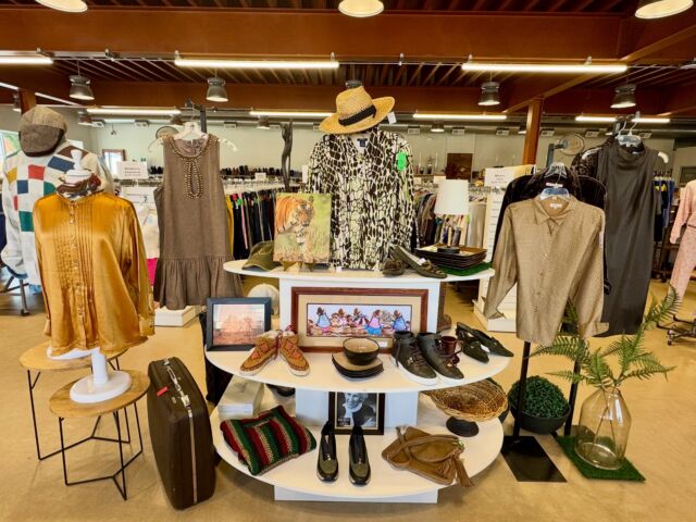 The colors are changing inside the store first. 🤎🍂

Rich browns, warm golds, cozy textures, and timeless treasures are starting to fill our shelves. Come take a first look at fall.

📍 Second Harvest Community Thrift Store
