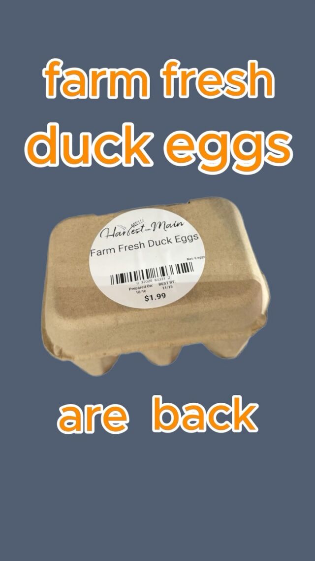 Farm fresh duck eggs are back 🥚

Stop by and pick some up today! 

📍 Harvest on Main Community Market
808 Main Street, Sharpsburg
Monday–Friday | 10 AM–6 PM
